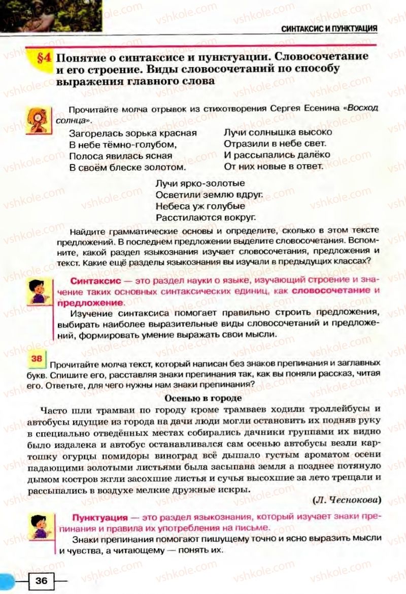 Страница 36 | Підручник Русский язык 8 клас Е.И. Быкова, Л.В Давидюк, В.И. Стативка 2008