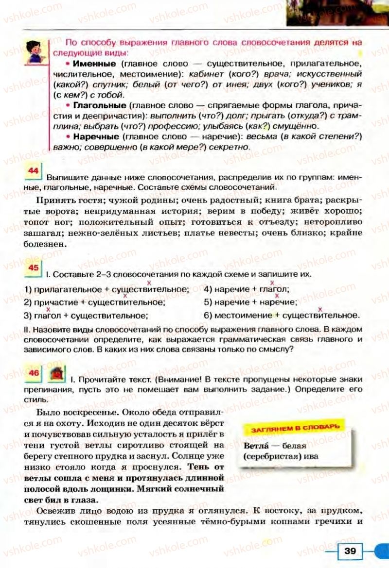 Страница 39 | Підручник Русский язык 8 клас Е.И. Быкова, Л.В Давидюк, В.И. Стативка 2008