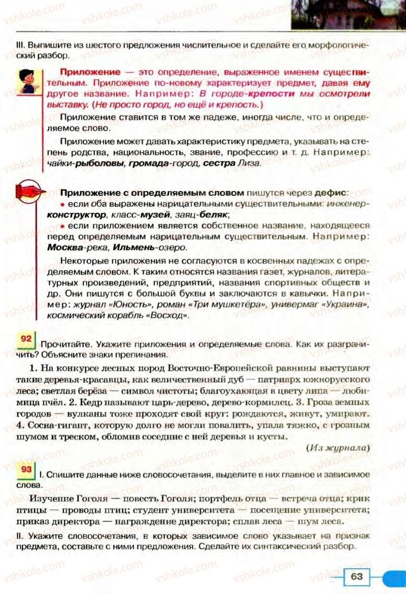 Страница 63 | Підручник Русский язык 8 клас Е.И. Быкова, Л.В Давидюк, В.И. Стативка 2008