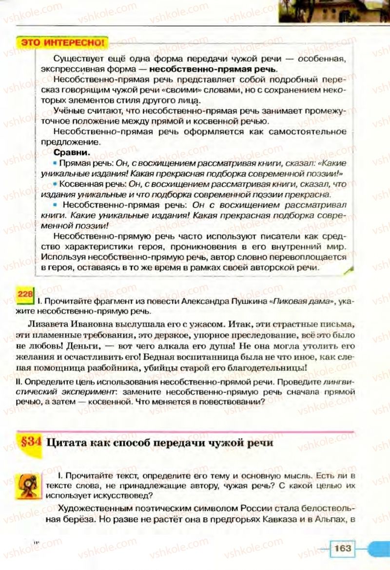 Страница 163 | Підручник Русский язык 8 клас Е.И. Быкова, Л.В Давидюк, В.И. Стативка 2008