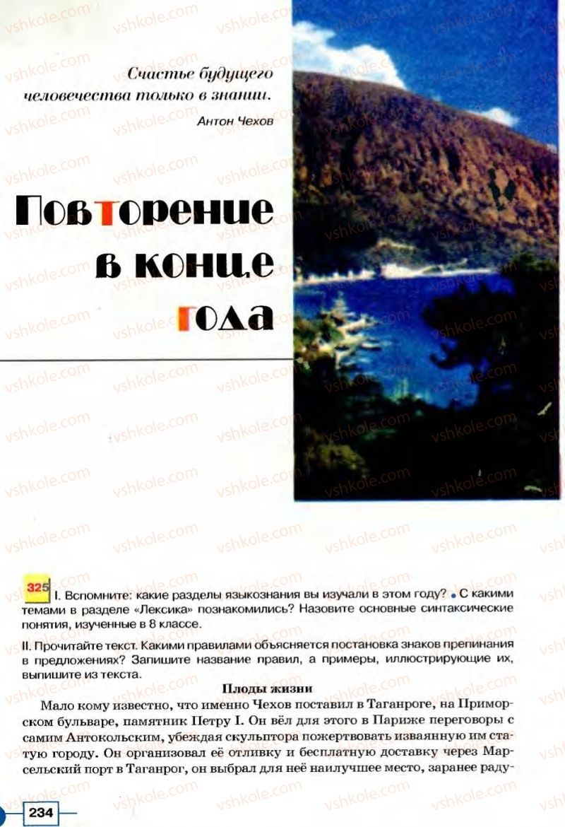 Страница 234 | Підручник Русский язык 8 клас Е.И. Быкова, Л.В Давидюк, В.И. Стативка 2008