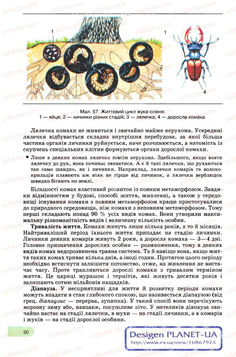 Страница 90 | Підручник Біологія 8 клас С.В. Межжерін, Я.О. Межжеріна 2008