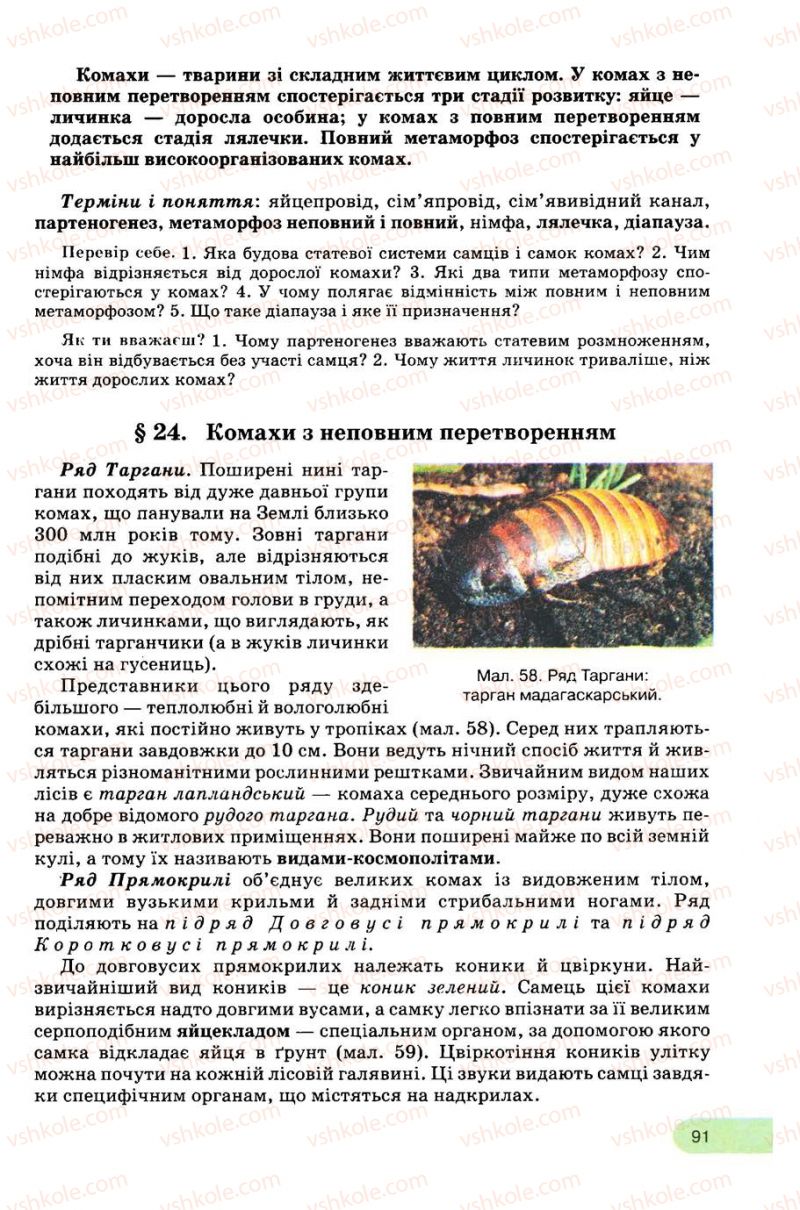 Страница 91 | Підручник Біологія 8 клас С.В. Межжерін, Я.О. Межжеріна 2008