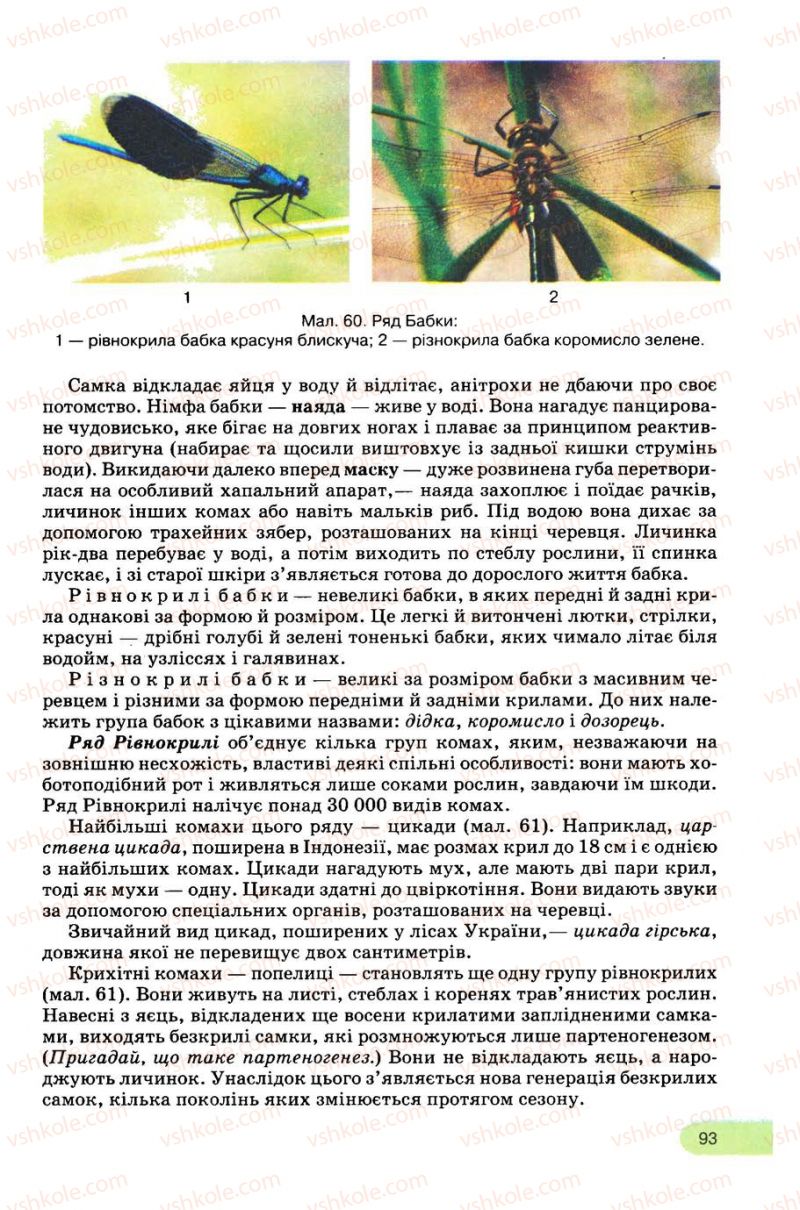 Страница 93 | Підручник Біологія 8 клас С.В. Межжерін, Я.О. Межжеріна 2008