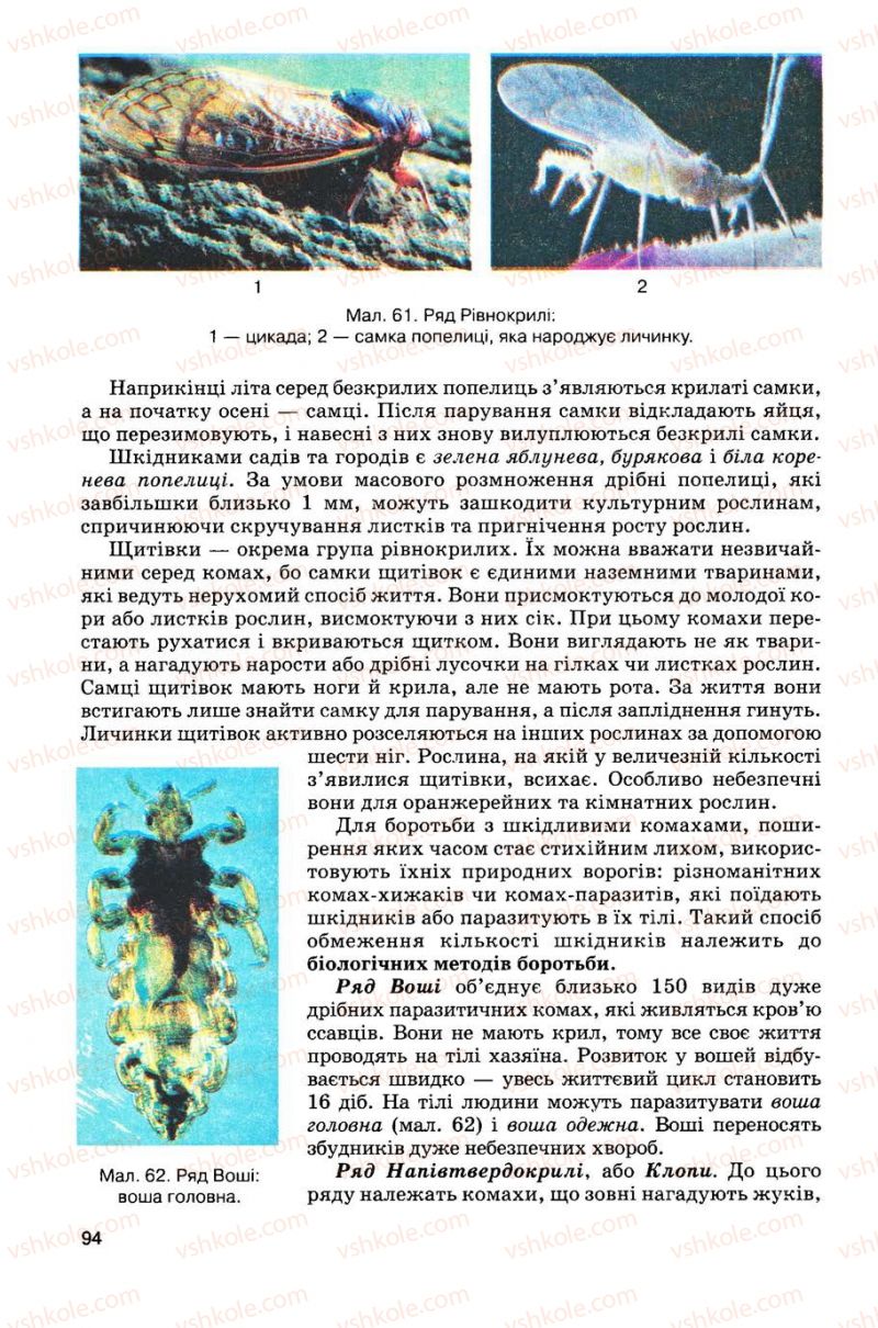 Страница 94 | Підручник Біологія 8 клас С.В. Межжерін, Я.О. Межжеріна 2008