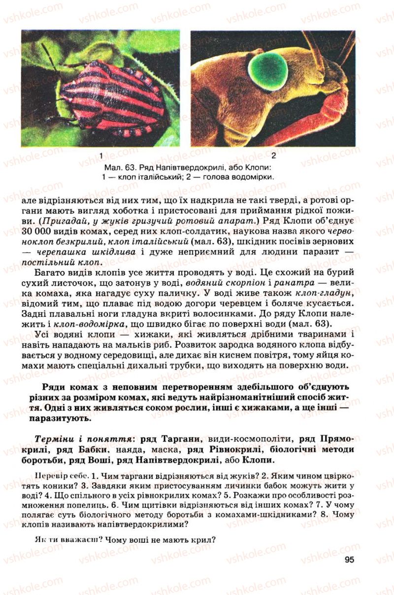 Страница 95 | Підручник Біологія 8 клас С.В. Межжерін, Я.О. Межжеріна 2008
