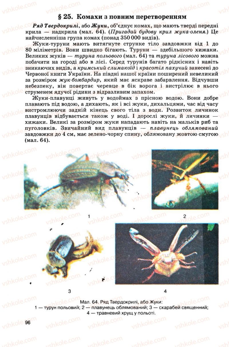 Страница 96 | Підручник Біологія 8 клас С.В. Межжерін, Я.О. Межжеріна 2008