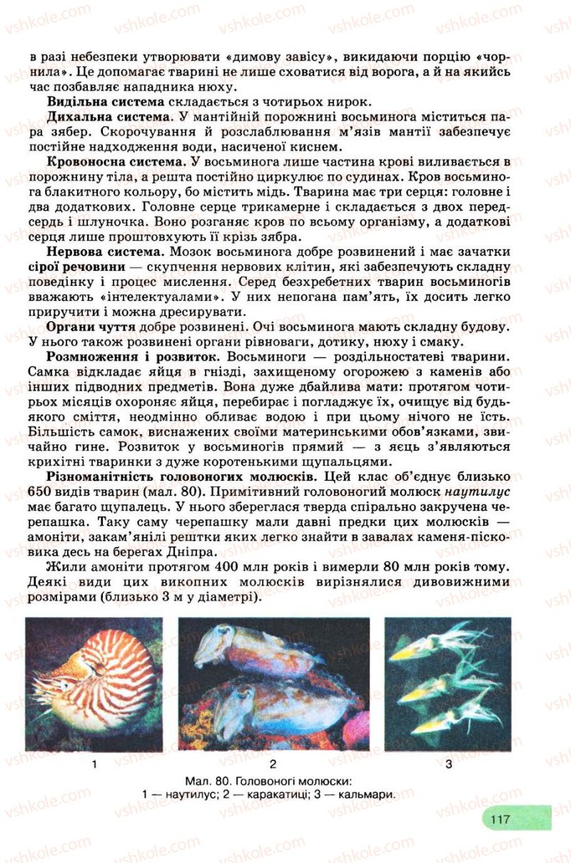 Страница 117 | Підручник Біологія 8 клас С.В. Межжерін, Я.О. Межжеріна 2008