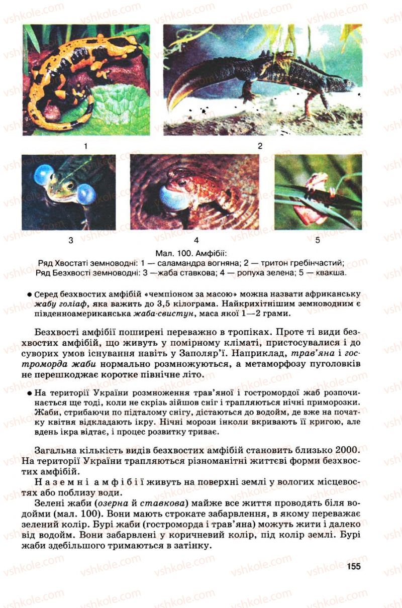 Страница 155 | Підручник Біологія 8 клас С.В. Межжерін, Я.О. Межжеріна 2008