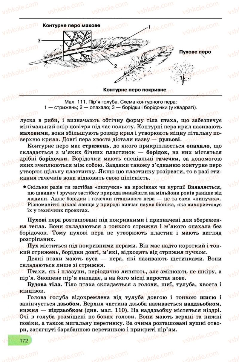 Страница 172 | Підручник Біологія 8 клас С.В. Межжерін, Я.О. Межжеріна 2008