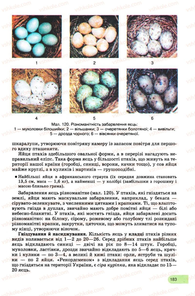 Страница 183 | Підручник Біологія 8 клас С.В. Межжерін, Я.О. Межжеріна 2008