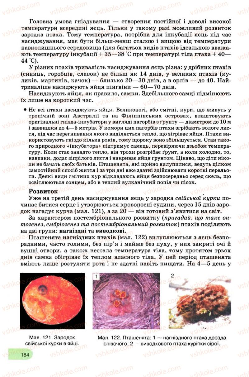 Страница 184 | Підручник Біологія 8 клас С.В. Межжерін, Я.О. Межжеріна 2008