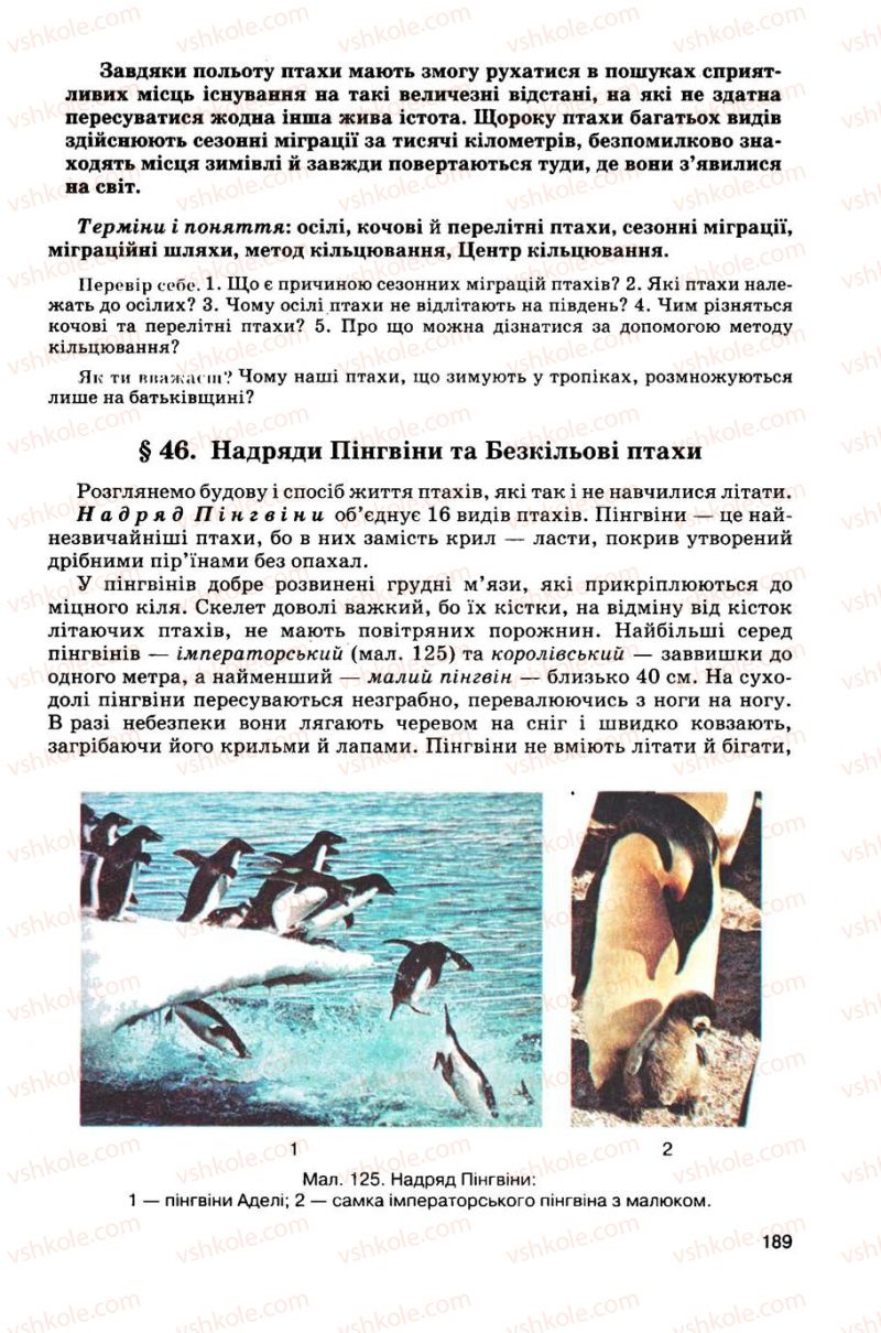 Страница 189 | Підручник Біологія 8 клас С.В. Межжерін, Я.О. Межжеріна 2008