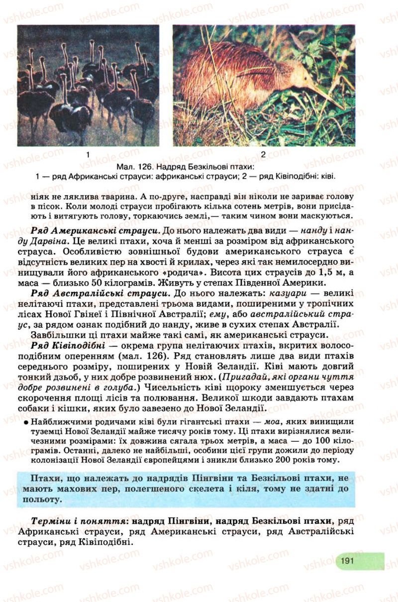 Страница 191 | Підручник Біологія 8 клас С.В. Межжерін, Я.О. Межжеріна 2008