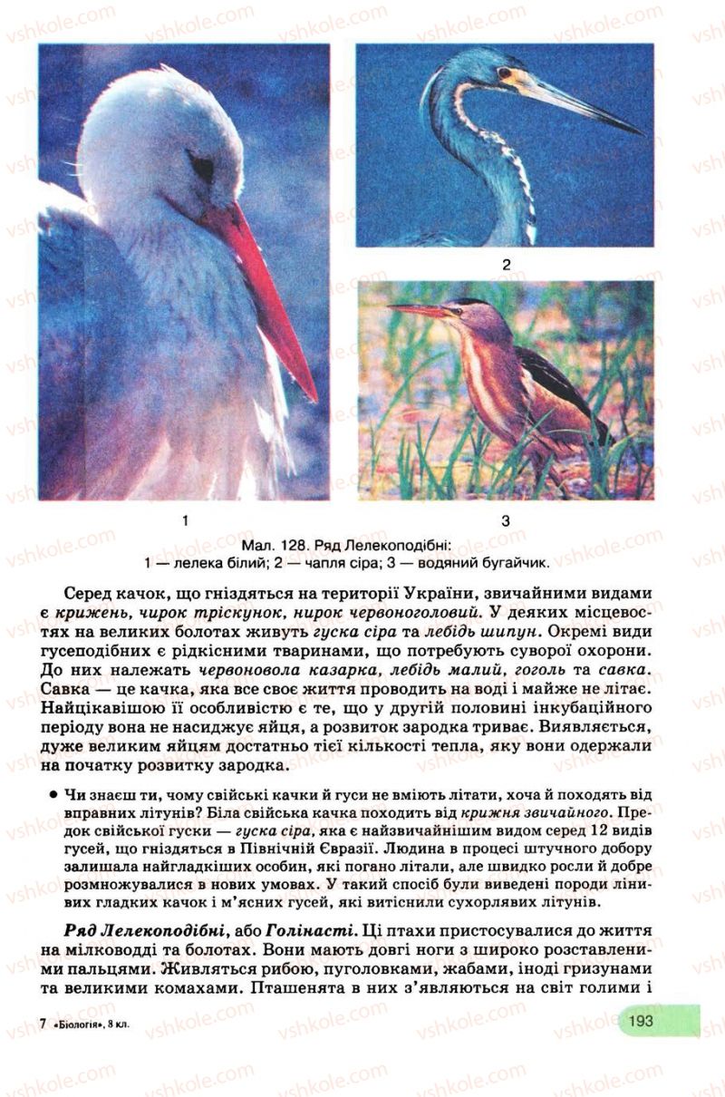 Страница 193 | Підручник Біологія 8 клас С.В. Межжерін, Я.О. Межжеріна 2008