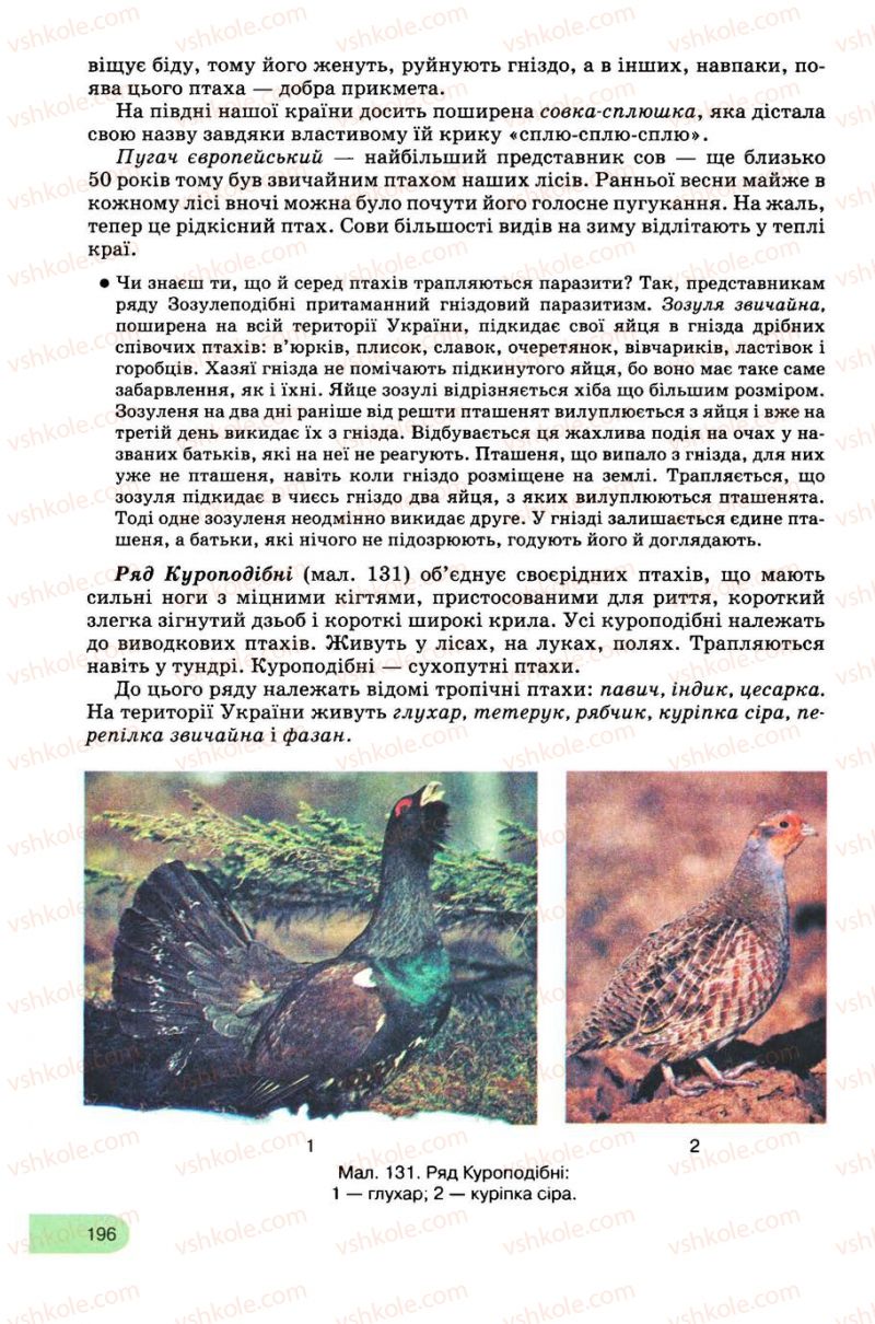 Страница 196 | Підручник Біологія 8 клас С.В. Межжерін, Я.О. Межжеріна 2008