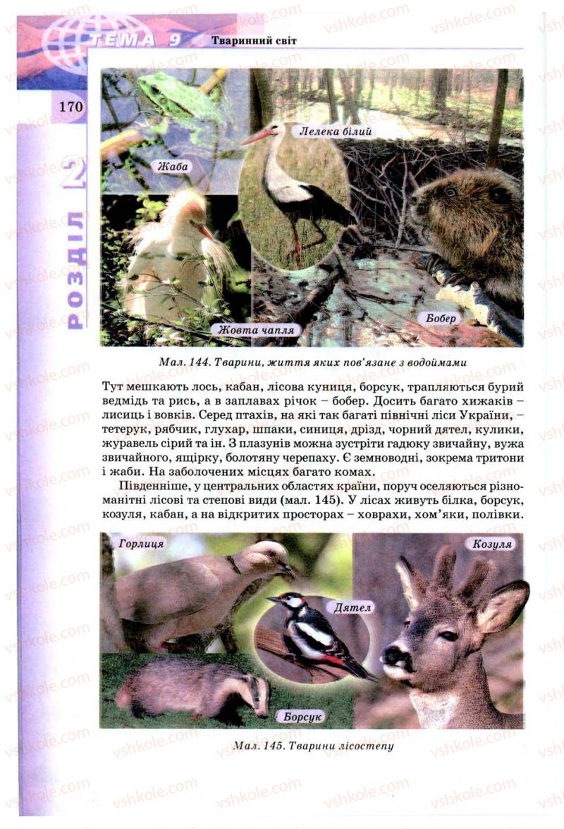 Страница 170 | Підручник Географія 8 клас В.Ю. Пестушко, Г.Ш. Уварова 2008