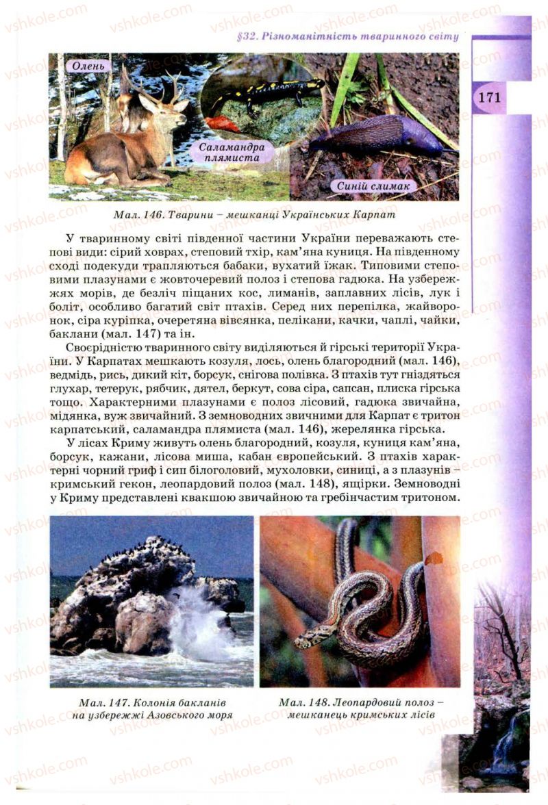 Страница 171 | Підручник Географія 8 клас В.Ю. Пестушко, Г.Ш. Уварова 2008