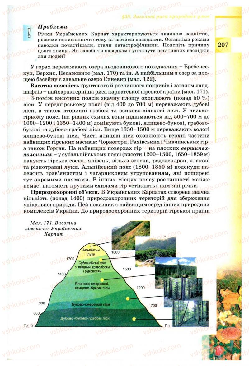 Страница 207 | Підручник Географія 8 клас В.Ю. Пестушко, Г.Ш. Уварова 2008