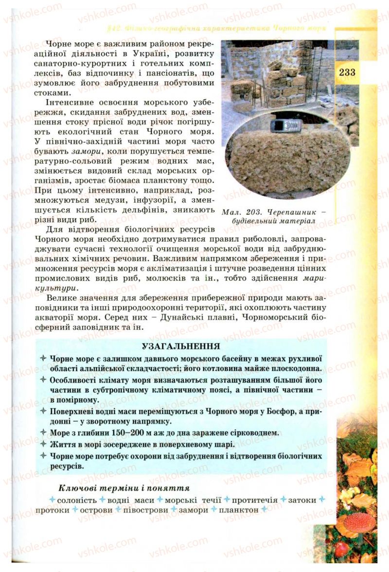 Страница 233 | Підручник Географія 8 клас В.Ю. Пестушко, Г.Ш. Уварова 2008