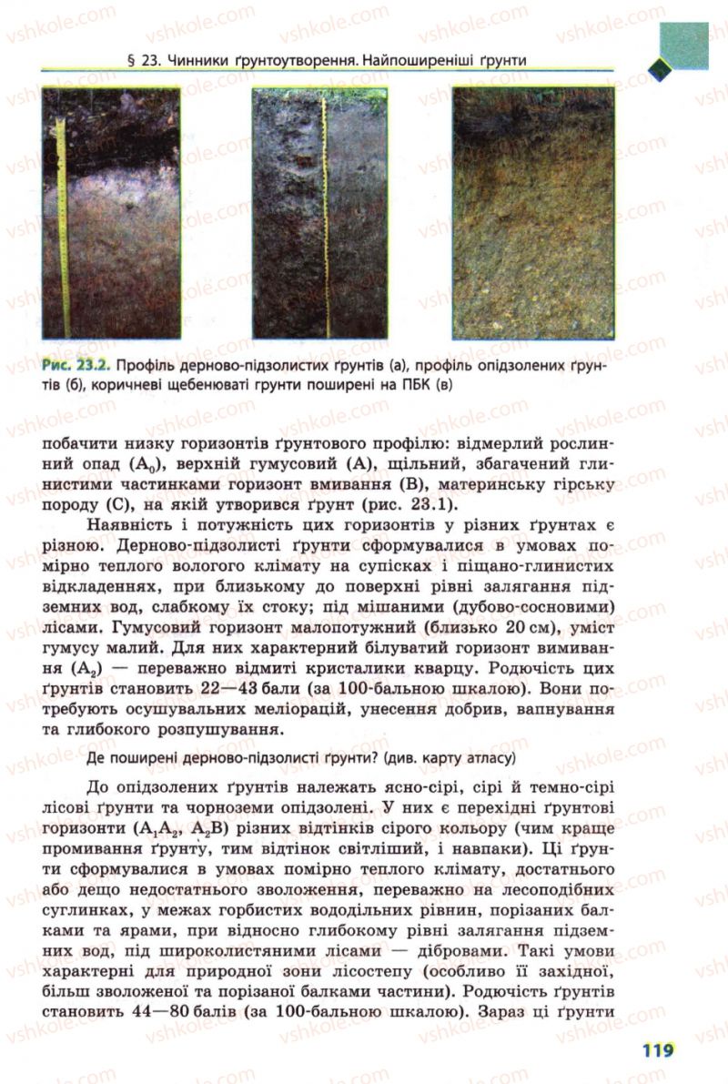 Страница 119 | Підручник Географія 8 клас Л.М. Булава 2008