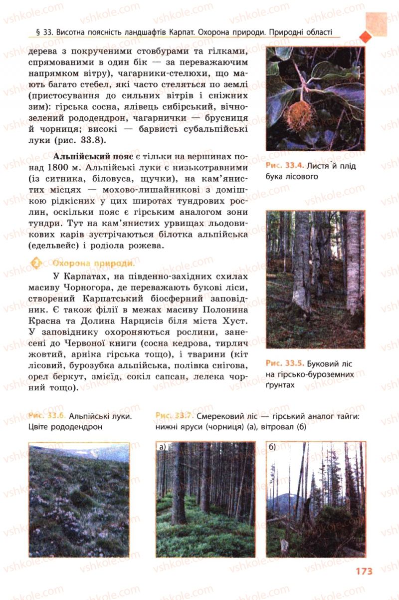 Страница 173 | Підручник Географія 8 клас Л.М. Булава 2008