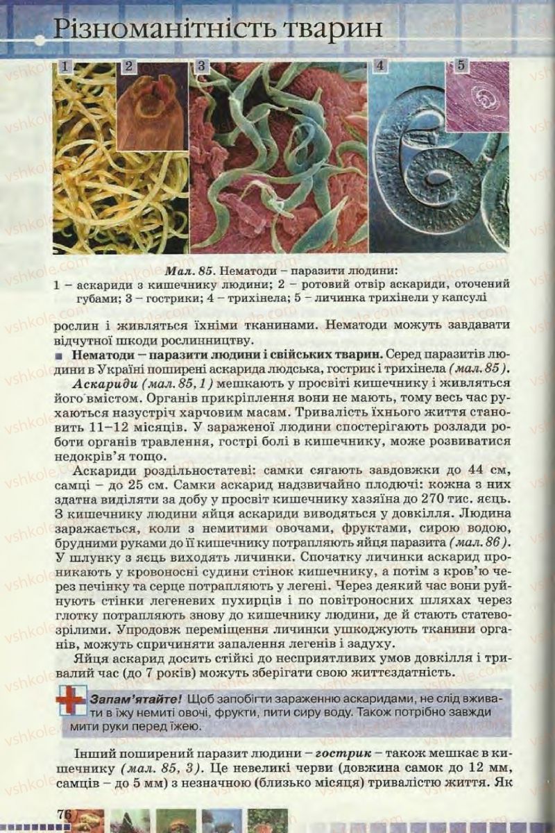 Страница 76 | Підручник Географія 8 клас І.Л. Дітчук, О.В. Заставецька, І.В. Брущенко 2008