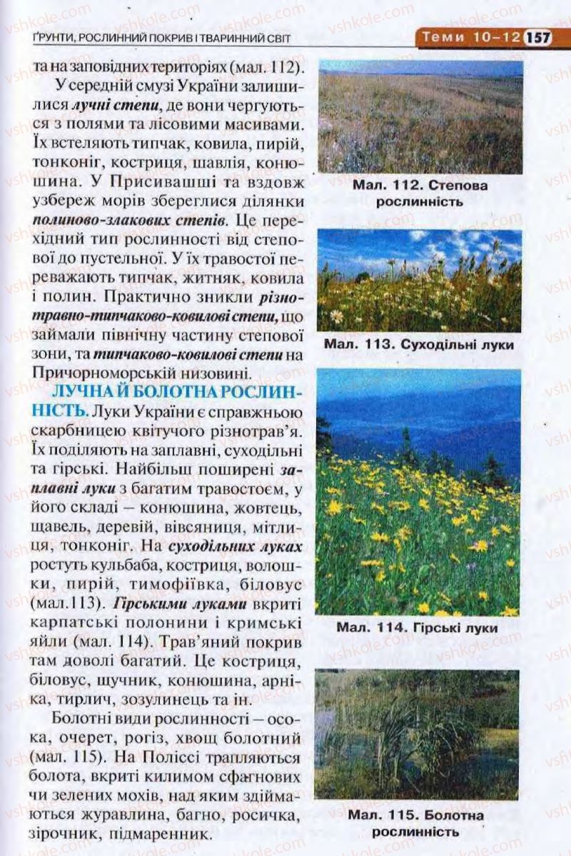 Страница 157 | Підручник Географія 8 клас І.Л. Дітчук, О.В. Заставецька, І.В. Брущенко 2008