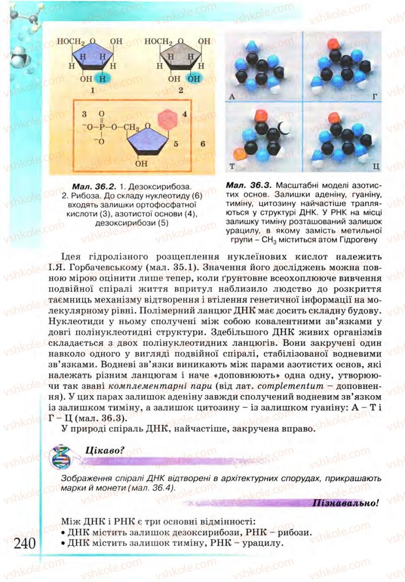 Страница 240 | Підручник Хімія 9 клас Г.А. Лашевська 2009