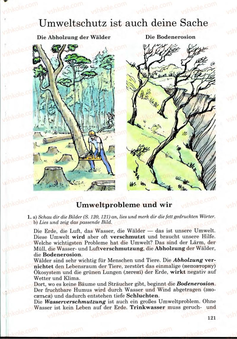 Страница 121 | Підручник Німецька мова 9 клас Н.П. Басай 2009