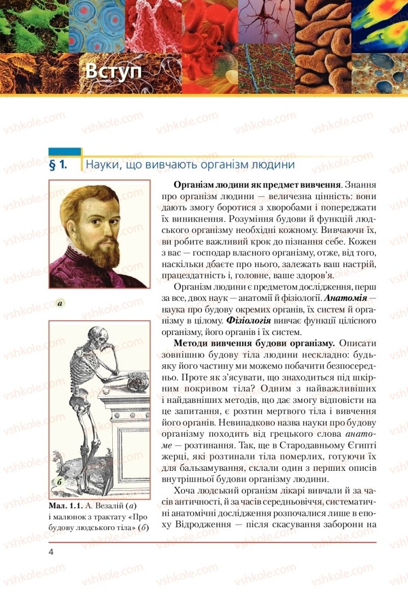 Страница 4 | Підручник Біологія 9 клас Т.І. Базанова, Ю.В. Павіченко, А.М. Тіткова 2009