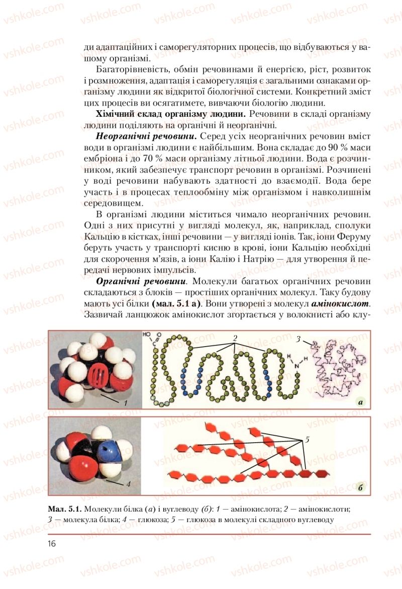 Страница 16 | Підручник Біологія 9 клас Т.І. Базанова, Ю.В. Павіченко, А.М. Тіткова 2009