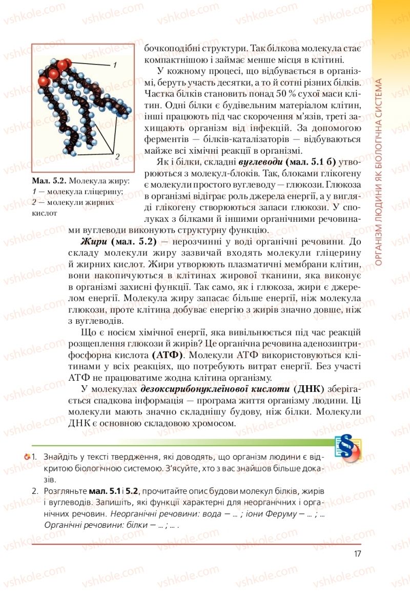 Страница 17 | Підручник Біологія 9 клас Т.І. Базанова, Ю.В. Павіченко, А.М. Тіткова 2009