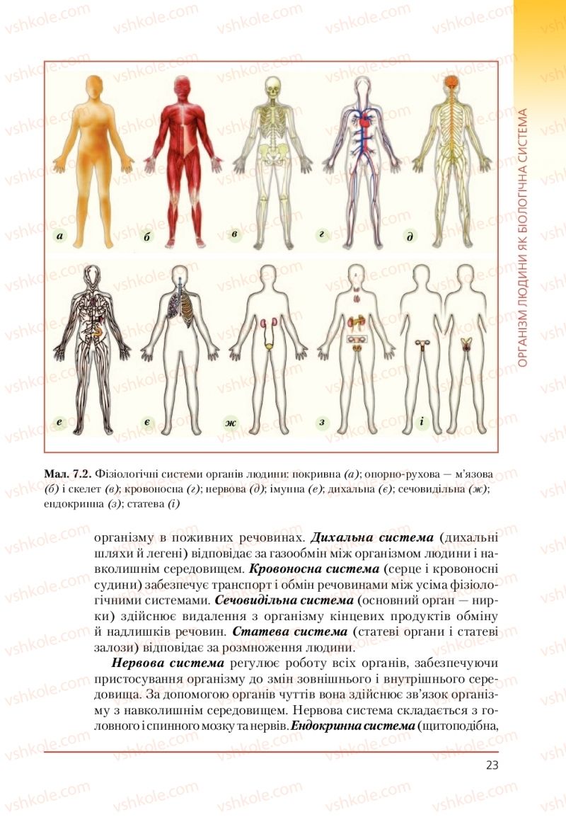 Страница 23 | Підручник Біологія 9 клас Т.І. Базанова, Ю.В. Павіченко, А.М. Тіткова 2009