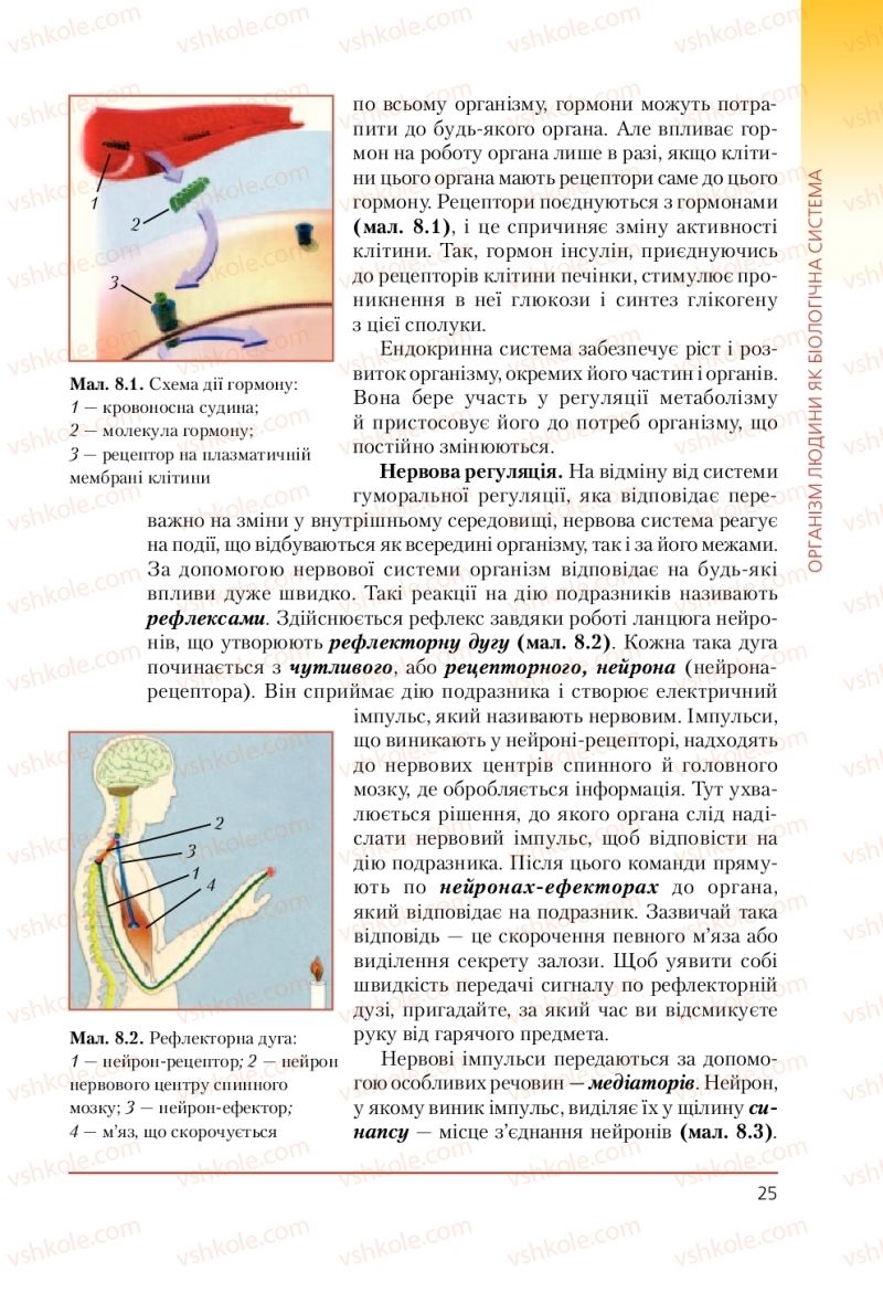 Страница 25 | Підручник Біологія 9 клас Т.І. Базанова, Ю.В. Павіченко, А.М. Тіткова 2009