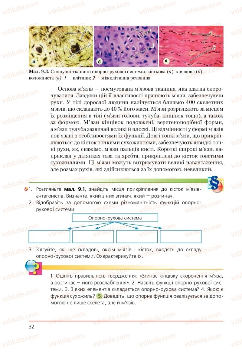 Страница 32 | Підручник Біологія 9 клас Т.І. Базанова, Ю.В. Павіченко, А.М. Тіткова 2009
