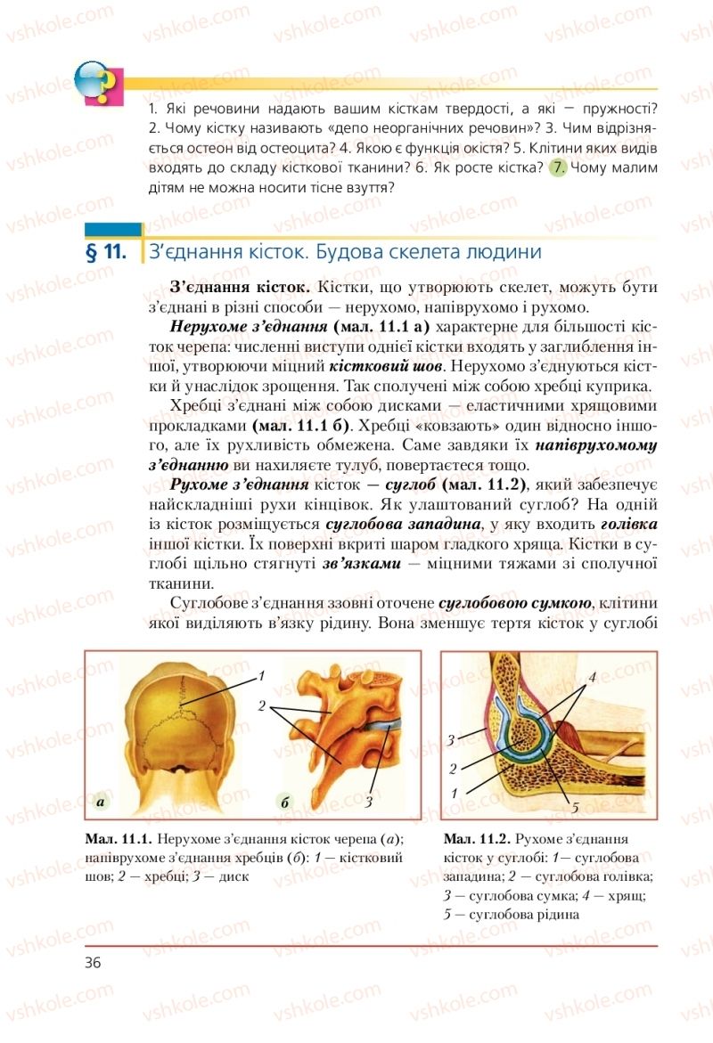 Страница 36 | Підручник Біологія 9 клас Т.І. Базанова, Ю.В. Павіченко, А.М. Тіткова 2009