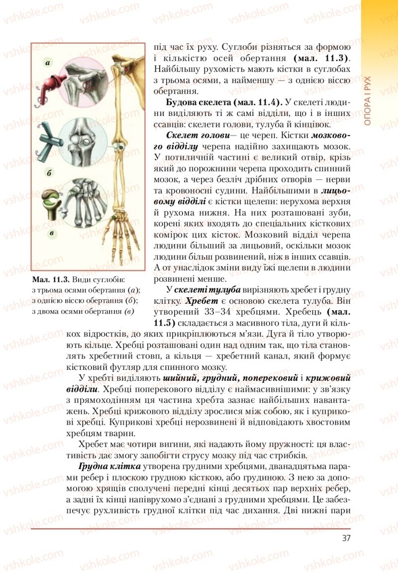 Страница 37 | Підручник Біологія 9 клас Т.І. Базанова, Ю.В. Павіченко, А.М. Тіткова 2009
