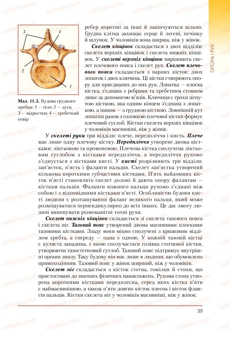 Страница 39 | Підручник Біологія 9 клас Т.І. Базанова, Ю.В. Павіченко, А.М. Тіткова 2009