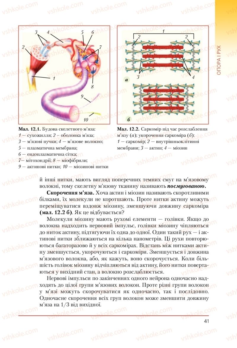 Страница 41 | Підручник Біологія 9 клас Т.І. Базанова, Ю.В. Павіченко, А.М. Тіткова 2009