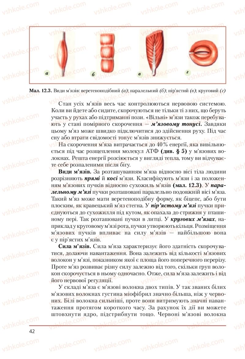 Страница 42 | Підручник Біологія 9 клас Т.І. Базанова, Ю.В. Павіченко, А.М. Тіткова 2009