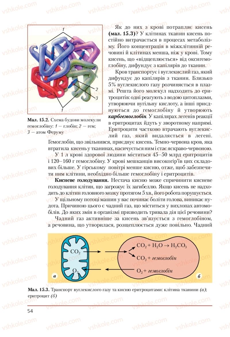 Страница 54 | Підручник Біологія 9 клас Т.І. Базанова, Ю.В. Павіченко, А.М. Тіткова 2009