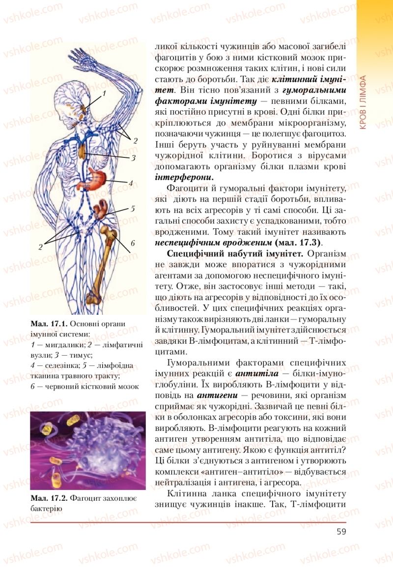Страница 59 | Підручник Біологія 9 клас Т.І. Базанова, Ю.В. Павіченко, А.М. Тіткова 2009