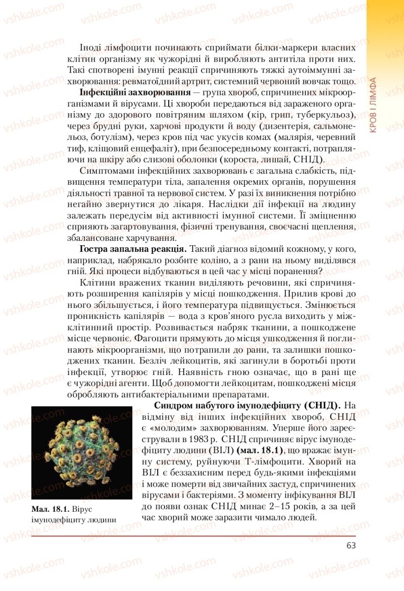 Страница 63 | Підручник Біологія 9 клас Т.І. Базанова, Ю.В. Павіченко, А.М. Тіткова 2009