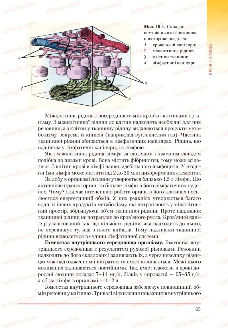 Страница 65 | Підручник Біологія 9 клас Т.І. Базанова, Ю.В. Павіченко, А.М. Тіткова 2009