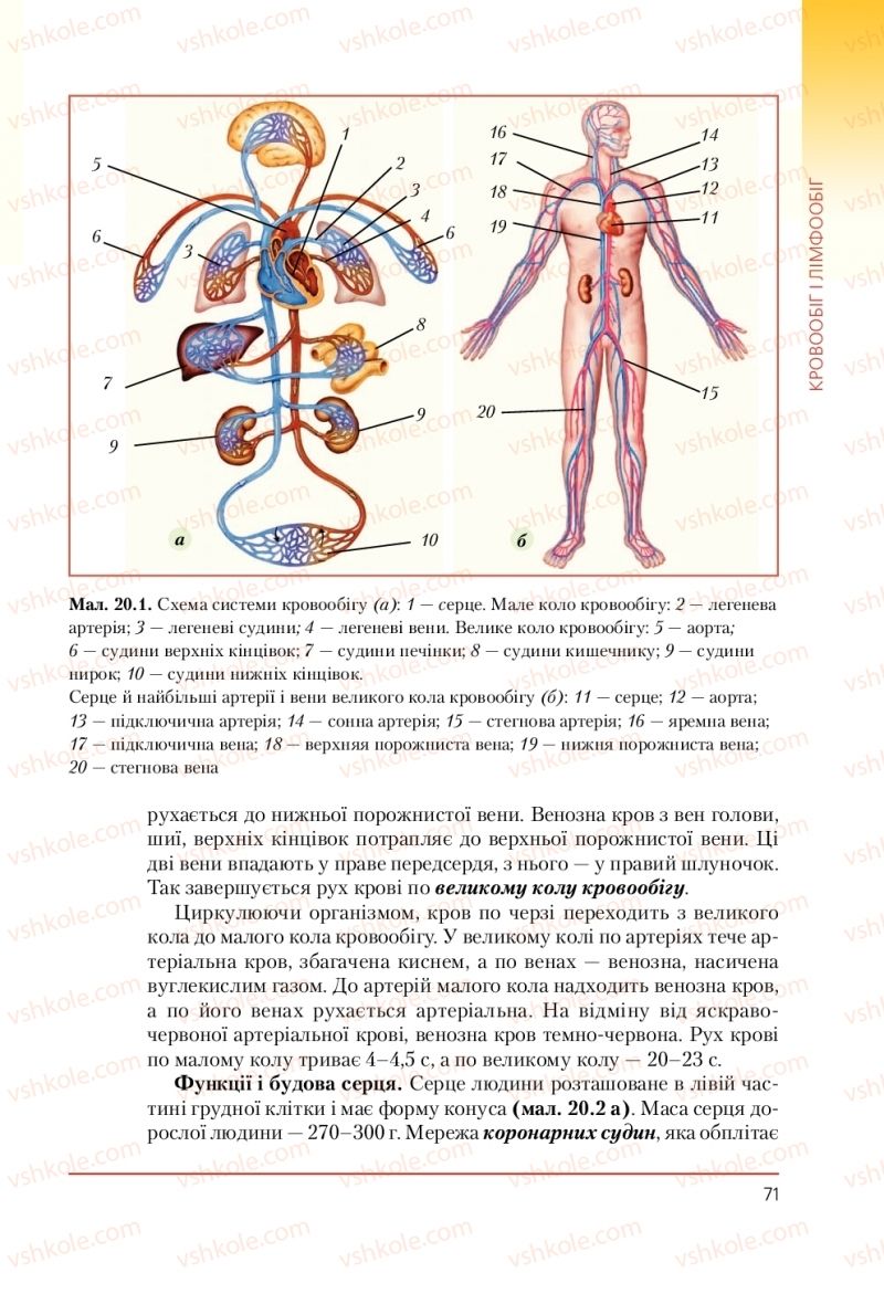 Страница 71 | Підручник Біологія 9 клас Т.І. Базанова, Ю.В. Павіченко, А.М. Тіткова 2009