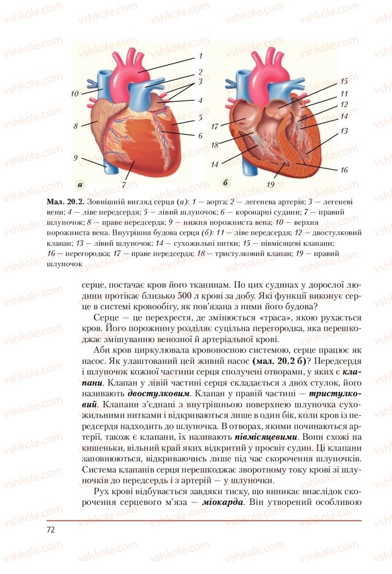 Страница 72 | Підручник Біологія 9 клас Т.І. Базанова, Ю.В. Павіченко, А.М. Тіткова 2009