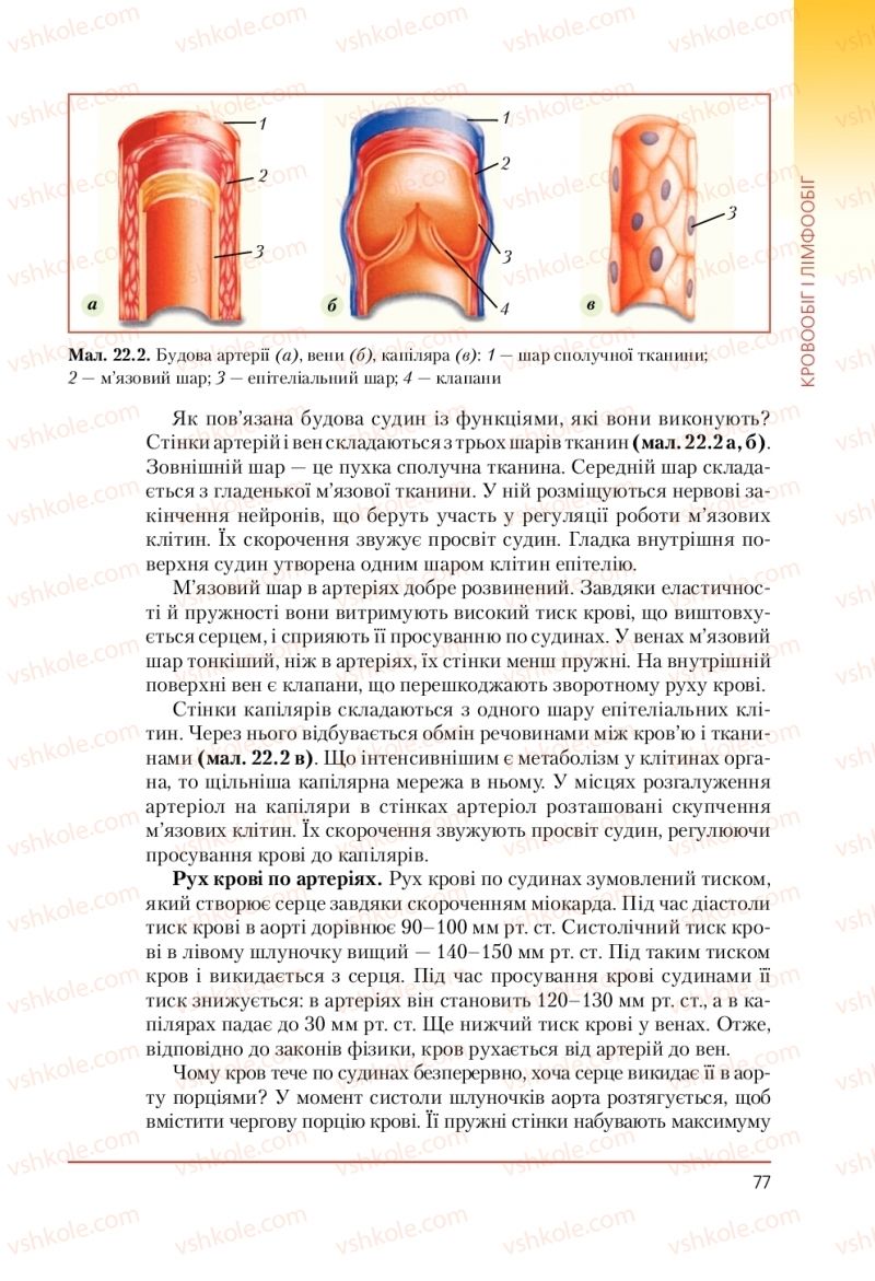 Страница 77 | Підручник Біологія 9 клас Т.І. Базанова, Ю.В. Павіченко, А.М. Тіткова 2009