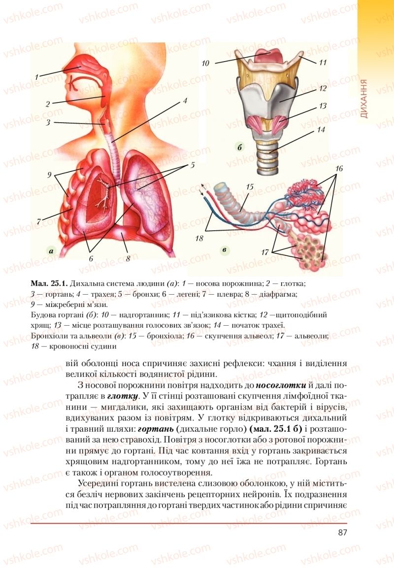 Страница 87 | Підручник Біологія 9 клас Т.І. Базанова, Ю.В. Павіченко, А.М. Тіткова 2009