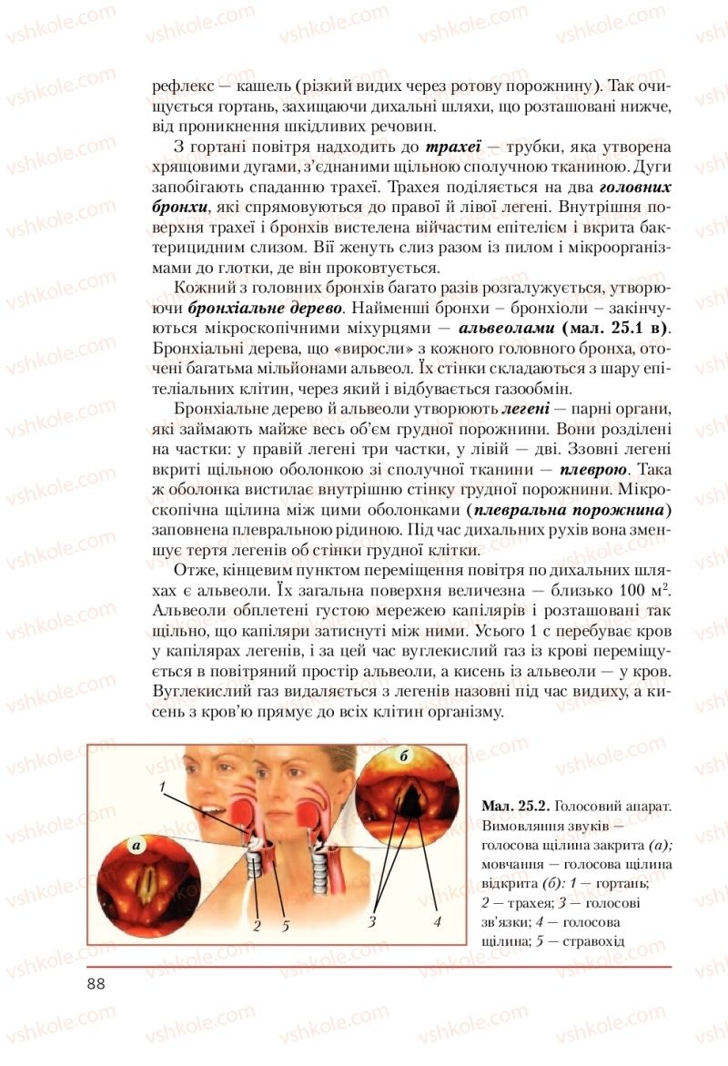 Страница 88 | Підручник Біологія 9 клас Т.І. Базанова, Ю.В. Павіченко, А.М. Тіткова 2009